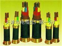 JHS-3*2.5mm2電纜 適合特殊環境下的專業選擇